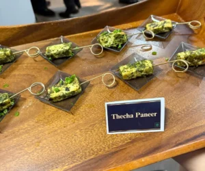 Thecha Paneer_BlvdChangi